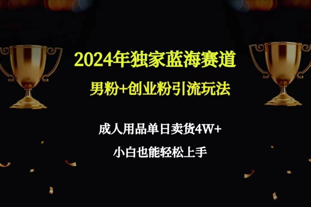 2024年独家蓝海赛道男粉+创业粉引流玩法，成人用品单日卖货4W+保姆教程-源码网源码